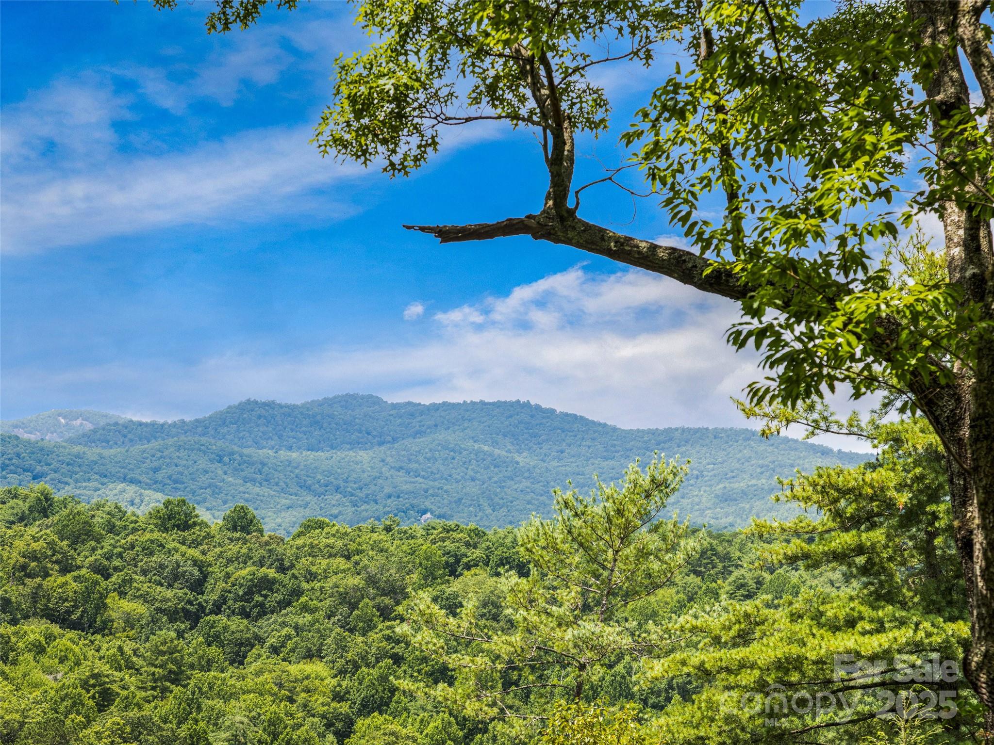 Lot 10 South Hill Drive
