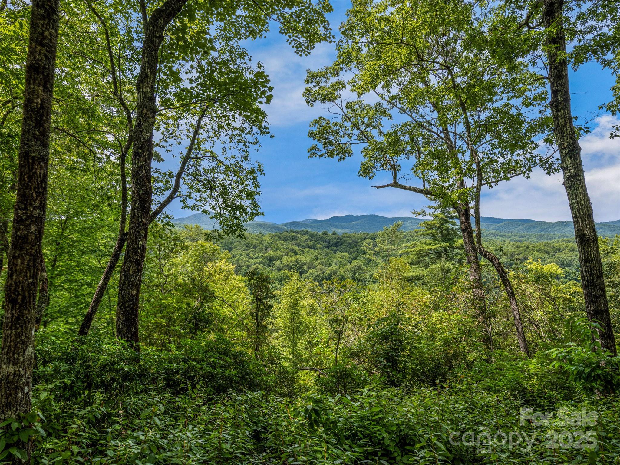 South Hill - Land