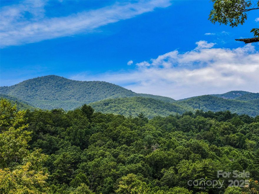 Rare opportunity to own a private 1.85-acre wooded lot, perched at the top of the popular South Hill neighborhood in Brevard.  Enjoy sweeping 280-degree mountain views of Pisgah National Forest from this premier homesite!  This special property offers the perfect blend of privacy, natural wooded beauty, and convenience—just minutes from downtown Brevard. Located just outside the city limits, so no city taxes. Come walk this property and discover its unique offering, as this lookout point and location are rare to the market.  Please no drive-by's, as the driveway is shared with the neighboring property.
