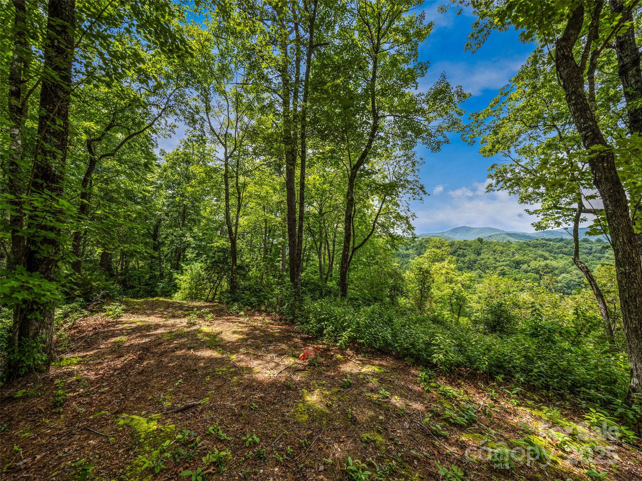 South Hill - Land