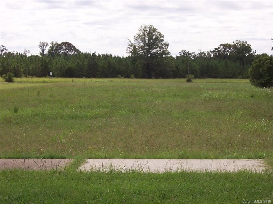 Bring your builder to this beautiful flat lot in Fort Lawn.  Walk in the evenings to the Wagon Wheel Restaurant for dinner.  Lot has the water/sewer lines and gas lines at roadside for you to hook up to for your new home.