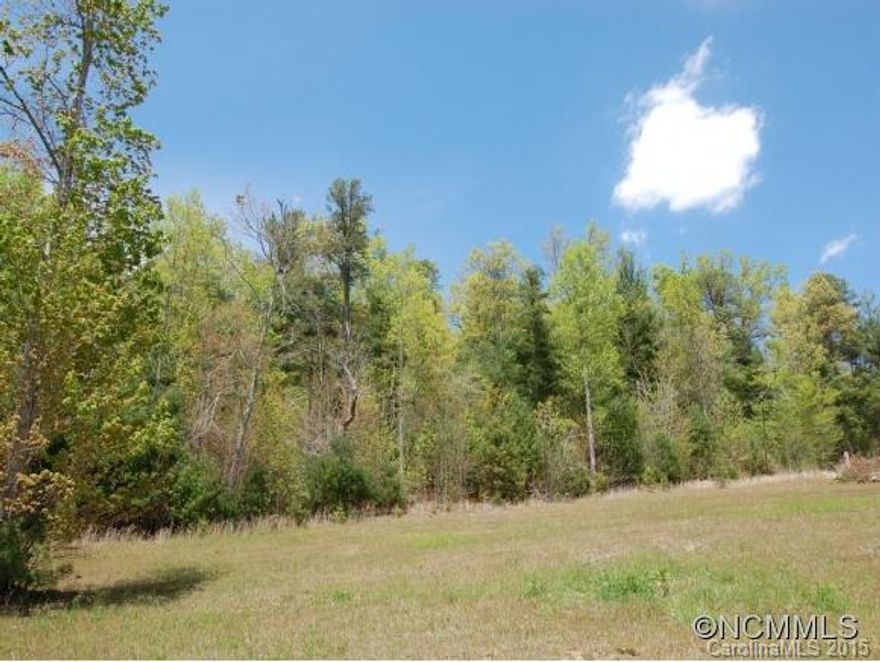 VIEWS!!! Year Round of Pinnacle Mtn. Gently sloping lot in the pretty subdivision of Crab Creek Valley. Convenient to Holmes State Forest & Dupont State Park. Paved roads & underground utilities. Previous 4BR septic on file and community water system available.
