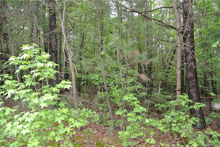 Great property with 180 degree views of the water. This lot has only minimal build restrictions and is in the county with no HOA.  Nivens Creek Landing is just up the road so you can live the lake life without the high price tag.