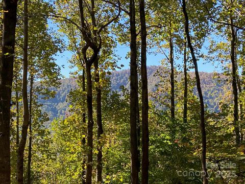 501 Warbler Lane T-62 Black Mountain NC 28711