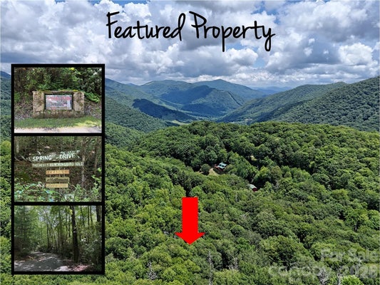 60 YONDER TRL, MAGGIE VALLEY, NC 28751 - Image 600ca1b5cd0afc0967ba0b32bfeb2193/636725126