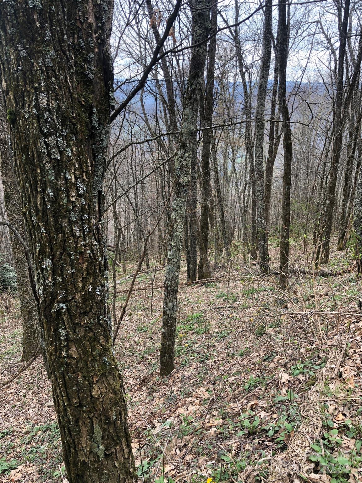 Laurel Heights - Land