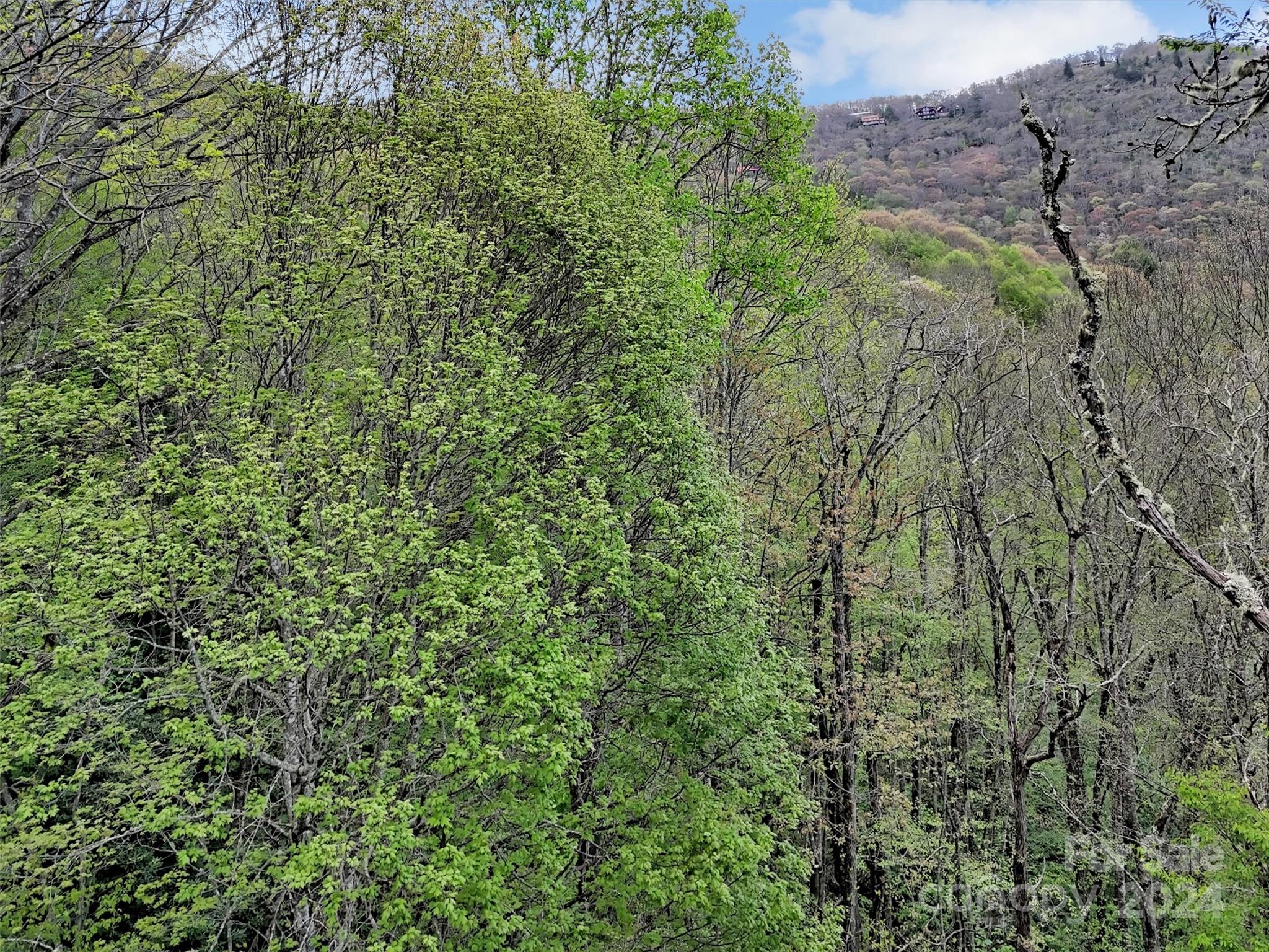 Lot 18 Quail Ridge Drive