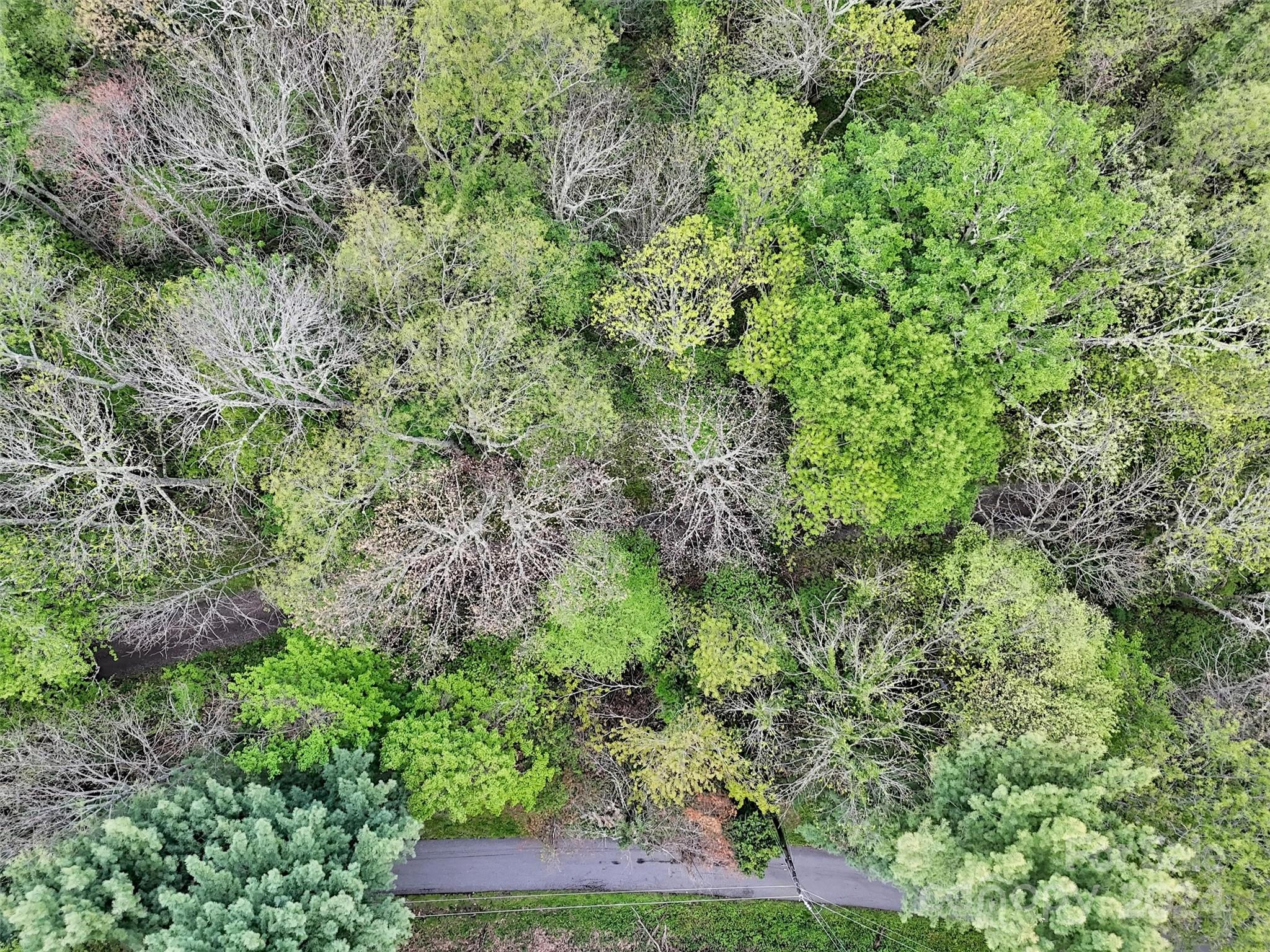 Laurel Heights - Land