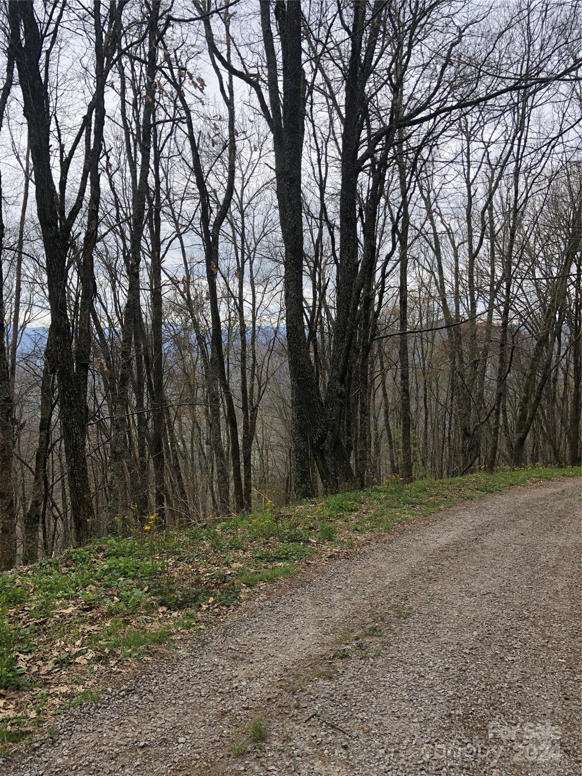 Laurel Heights - Land