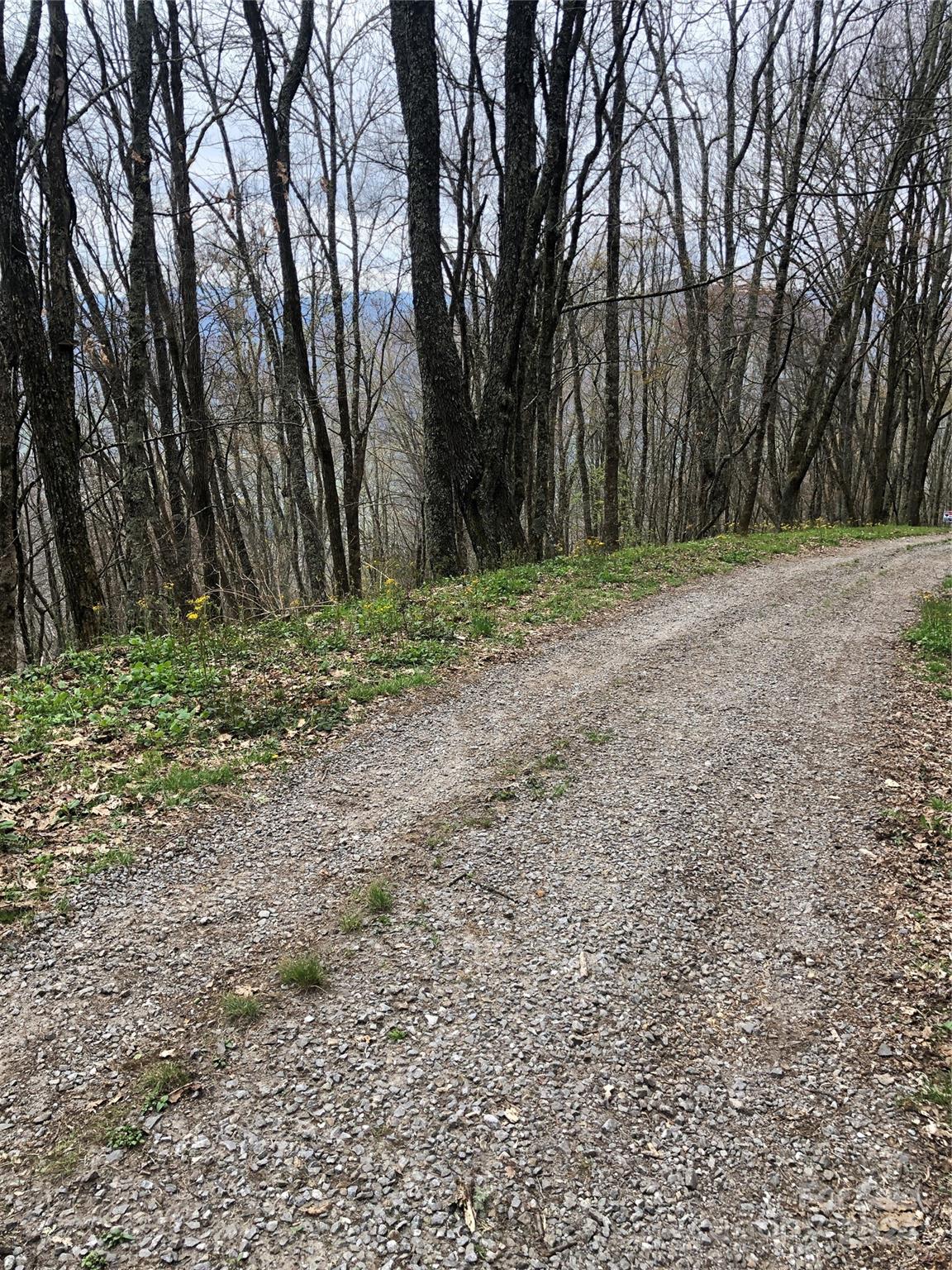 Laurel Heights - Land