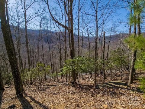 195 Smokemont Drive 64 Arden NC 28704