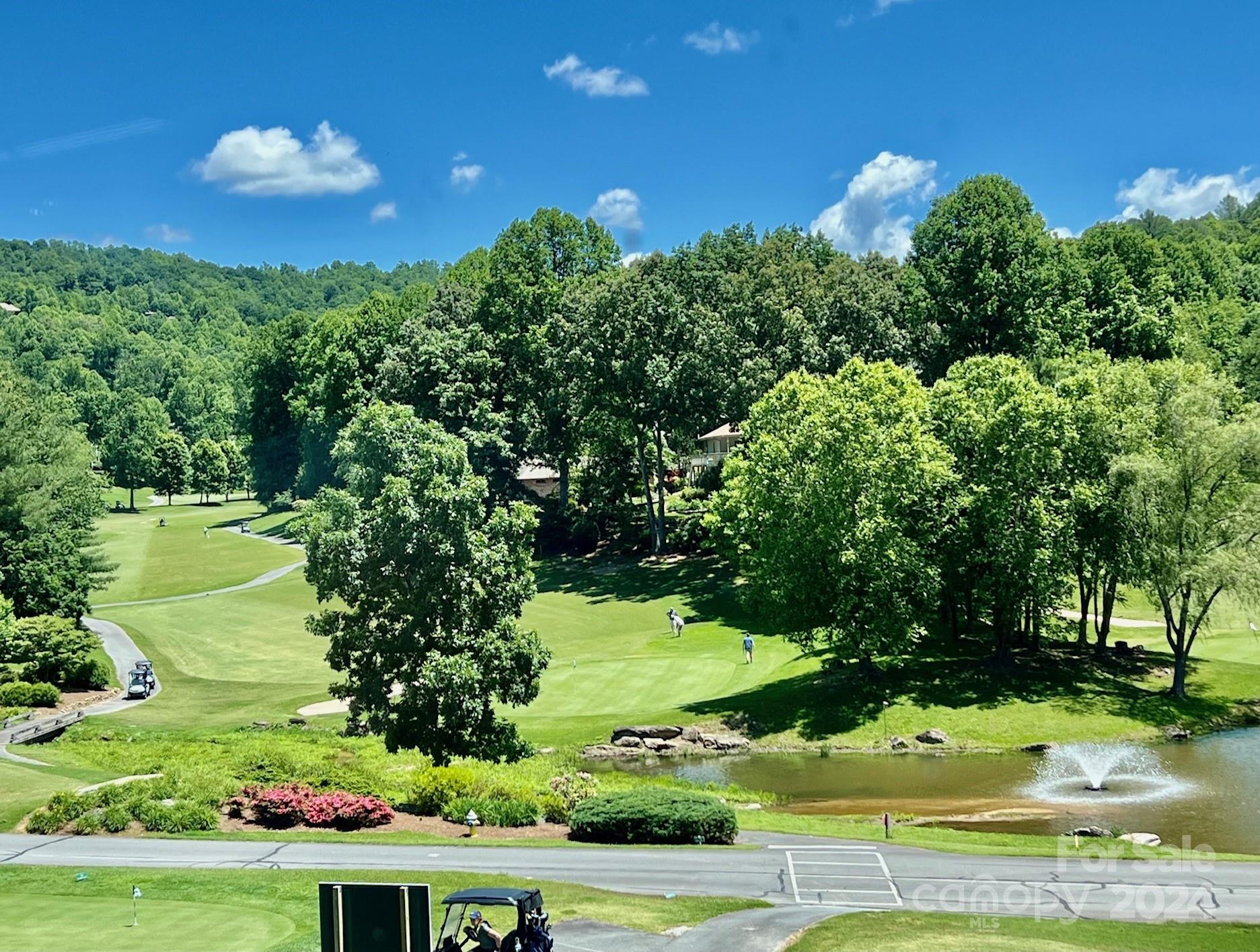 Cummings Cove - Land