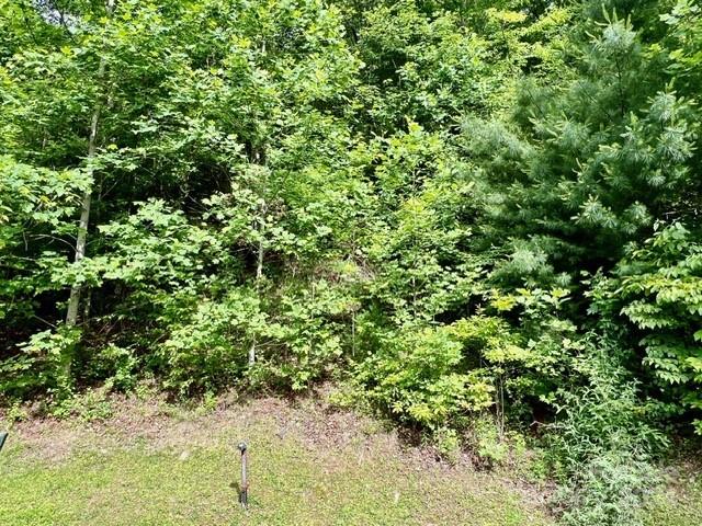 271 Mountain Morning Lane 41