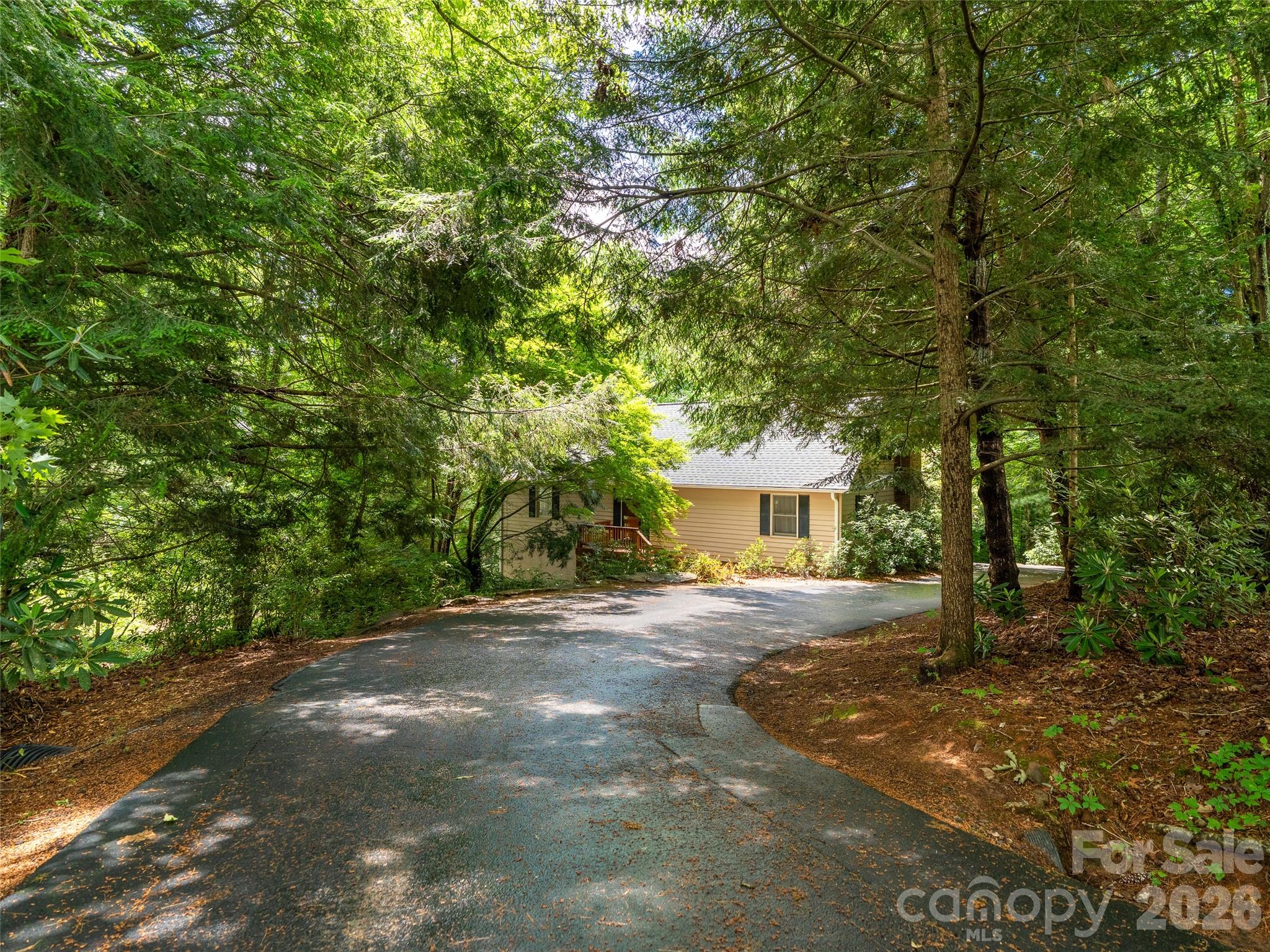 25 Blueberry Lane
