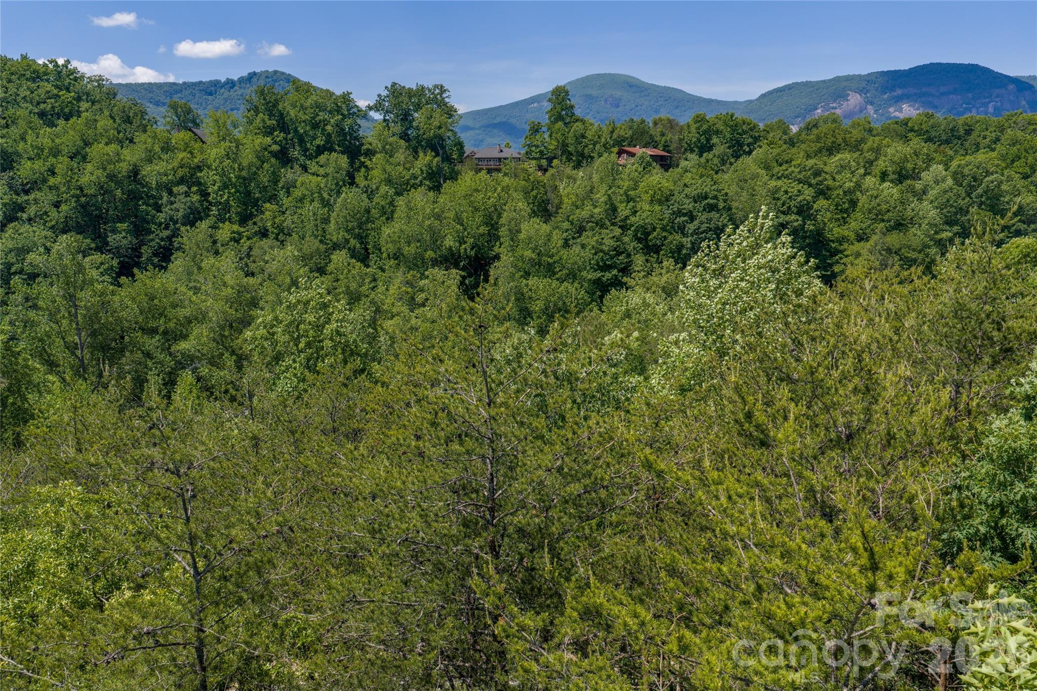 0000 View Trail