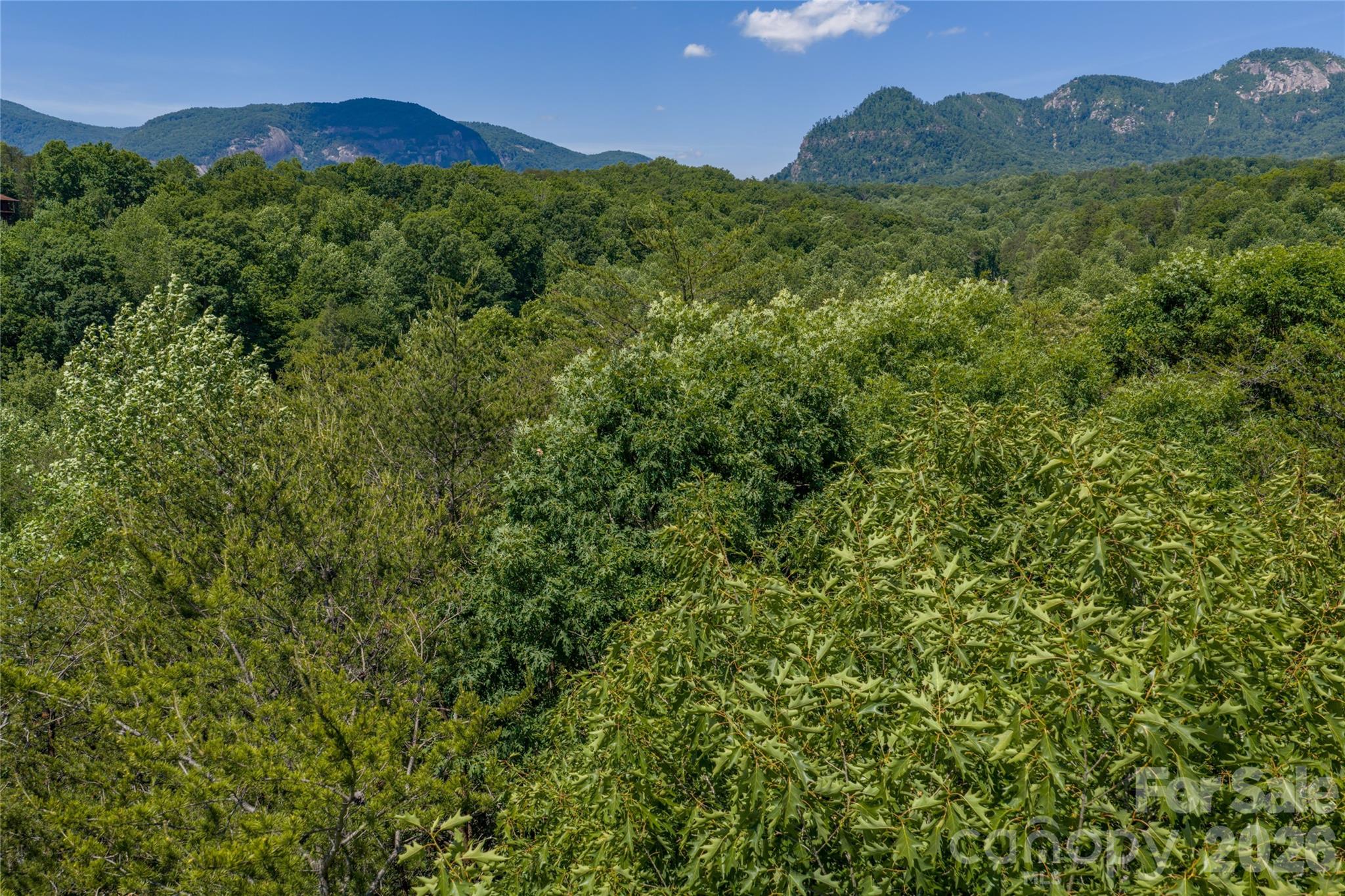 0000 View Trail