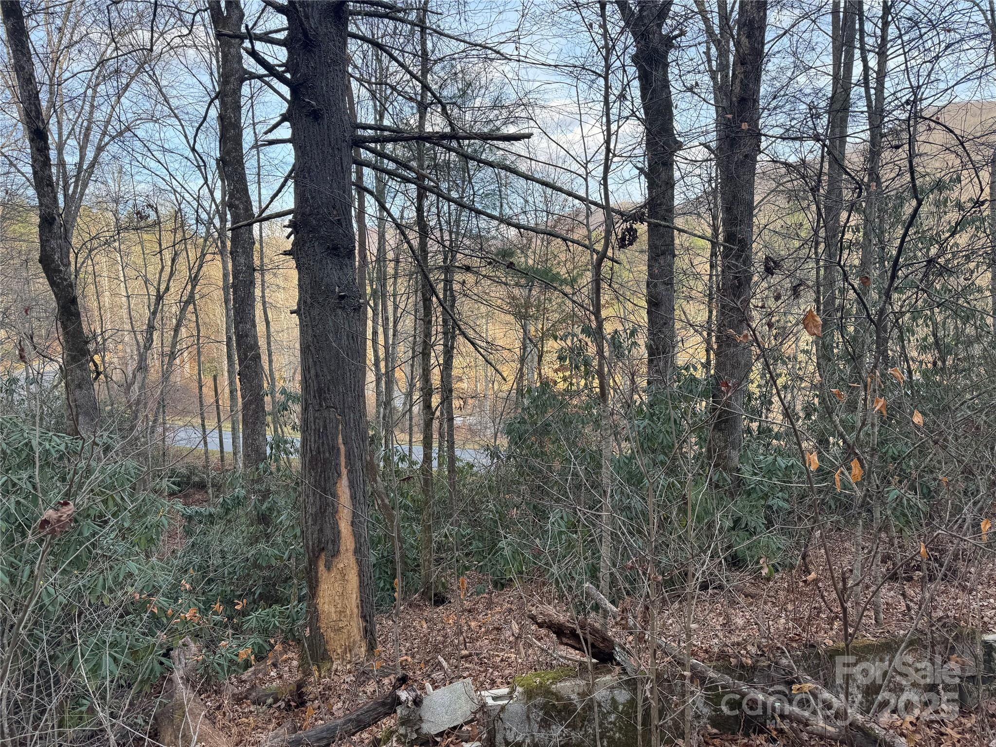 2664 NC Hwy 9 Highway