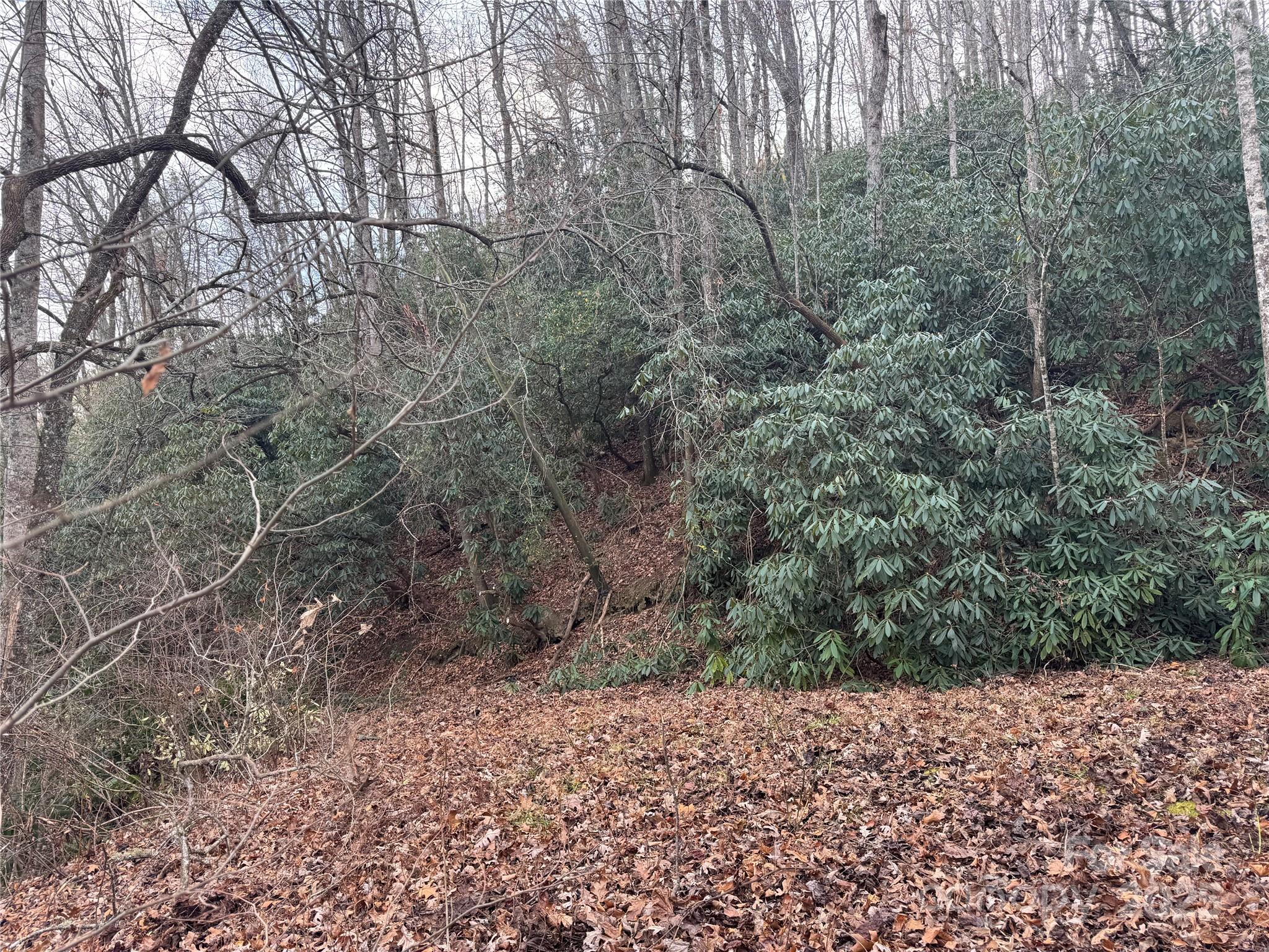 2664 NC Hwy 9 Highway