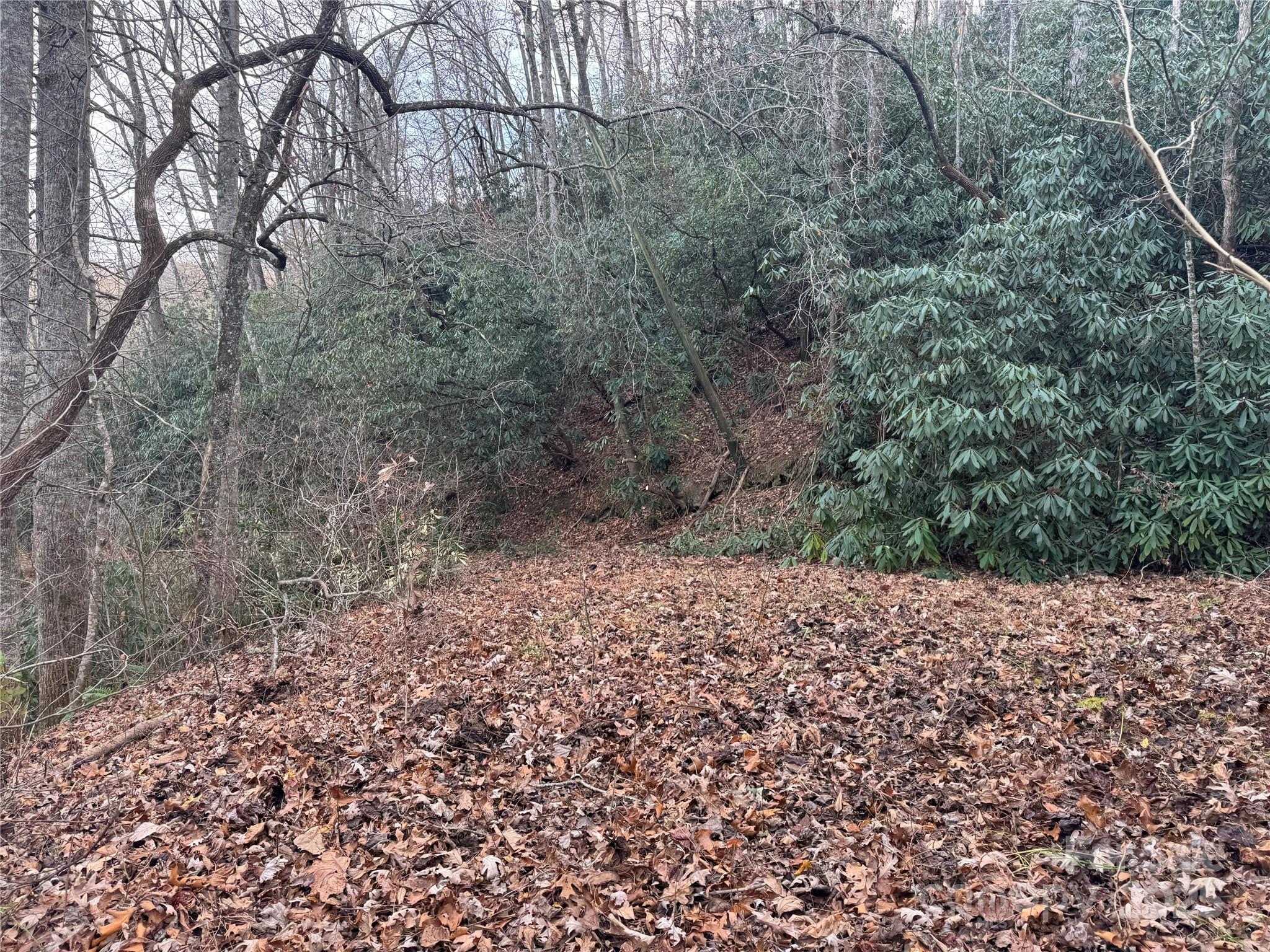 2664 NC Hwy 9 Highway