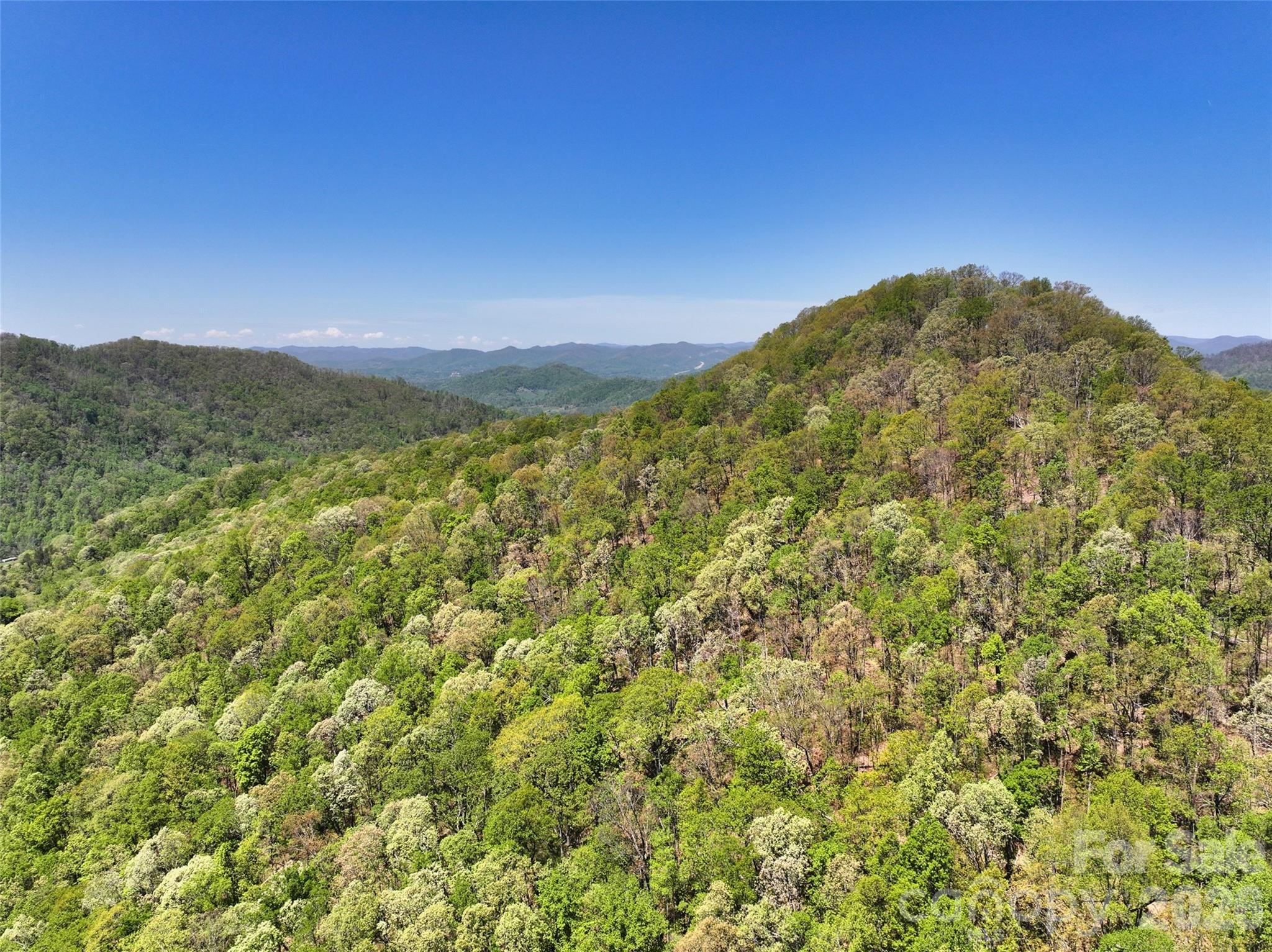 99999 Anderson Cove Road