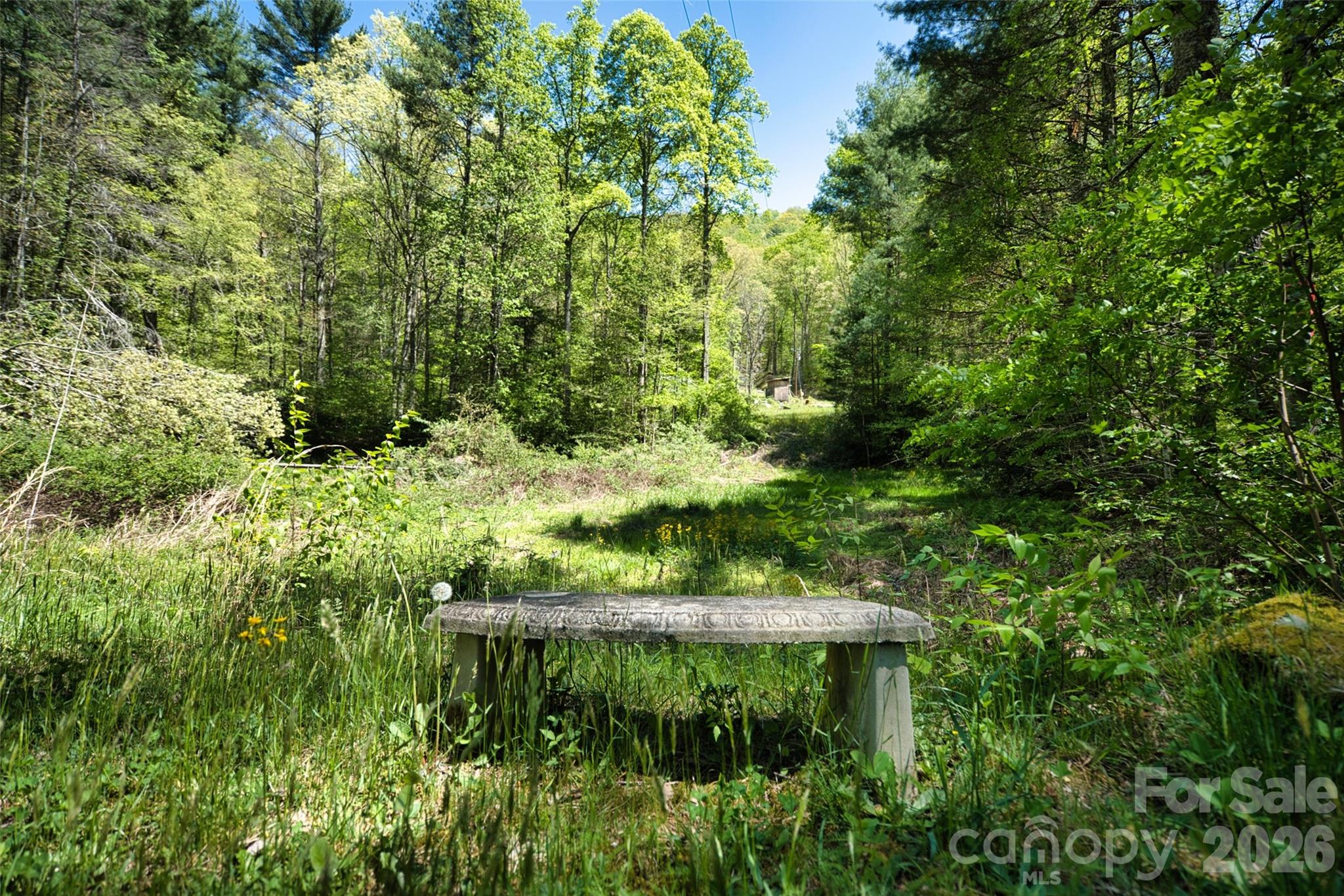 99999 Anderson Cove Road