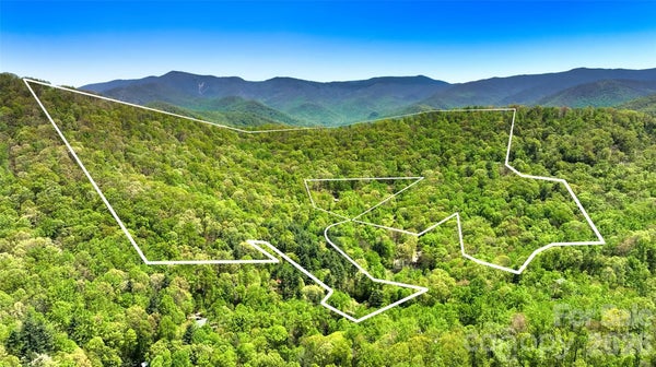 99999 ANDERSON COVE ROAD, BARNARDSVILLE, NC 28709 - Image 6056b22137ddcb4d970c69a80ec4ea19/2094577934