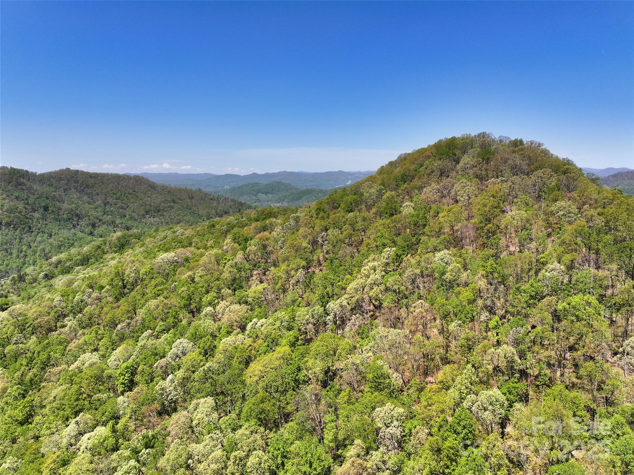 99999 Anderson Cove Road