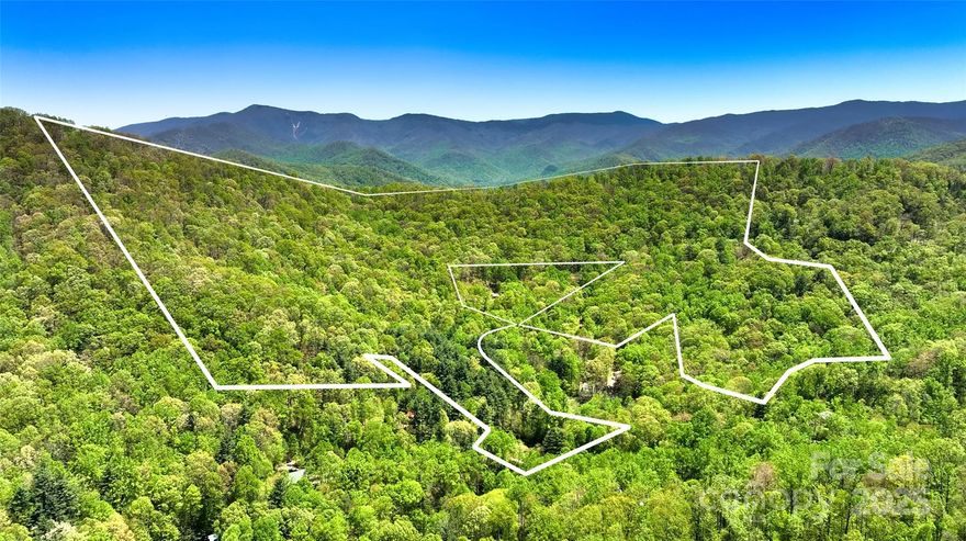 62+/- acres stretching from a pond area complete with wild orchids up to the peak of Wildcat Knob where the hawks soar. No hurricane damage seen here, just look at all the lovely mature trees! What would you do with this gorgeous large parcel with multiple potential homesites in the highly desirable Barnardsville area, which is known for its many off-grid homesteaders, organic farmers and seekers of mindful sustainability?  Southerly exposures for solar power, multiple spring-fed creeks, and even a pond area! A well-maintained gravel/dirt road winds through the property, making accessibility a breeze!  Power lines are available for those not seeking the full off-grid experience.  Keep all 62 acres to create your perfect oasis of mountain serenity, or subdivide and add a few more good neighbors!  Asheville and its many amenities are only about 25 minutes away, and the city of Weaverville is even closer. Or escape into the nearby Pisgah National Forest to hike, bike or fish the day away!