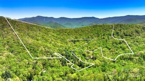 99999 Anderson Cove Road Barnardsville NC 28709