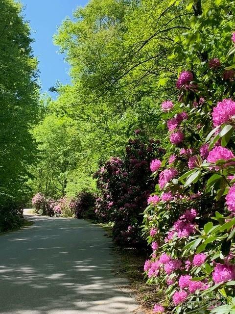 Villages Of Plott Creek - Residential