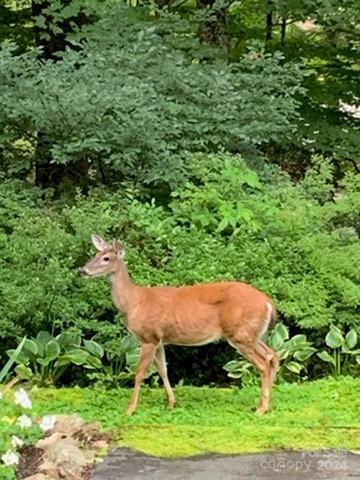 Villages Of Plott Creek - Residential