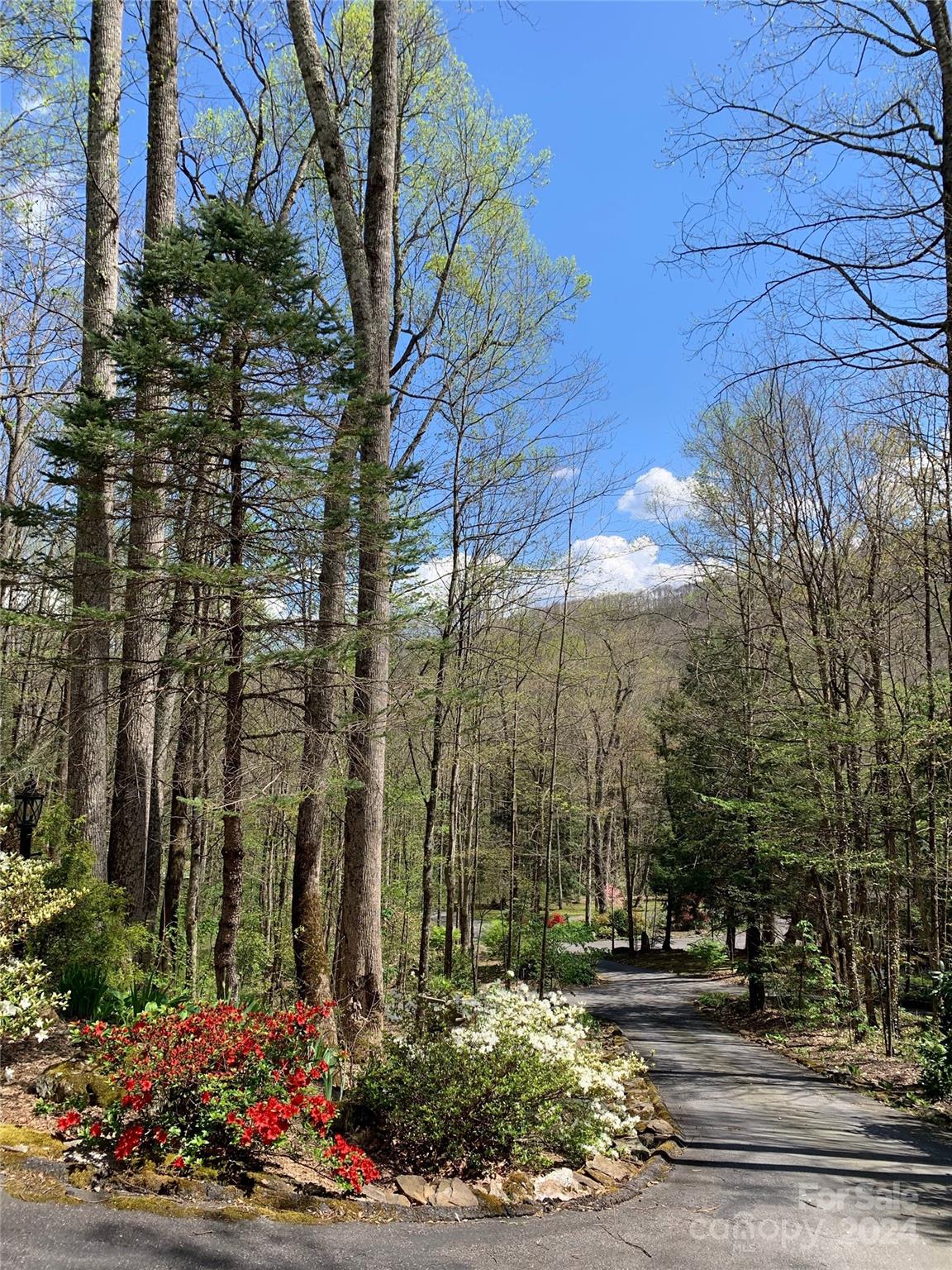 Villages Of Plott Creek - Residential