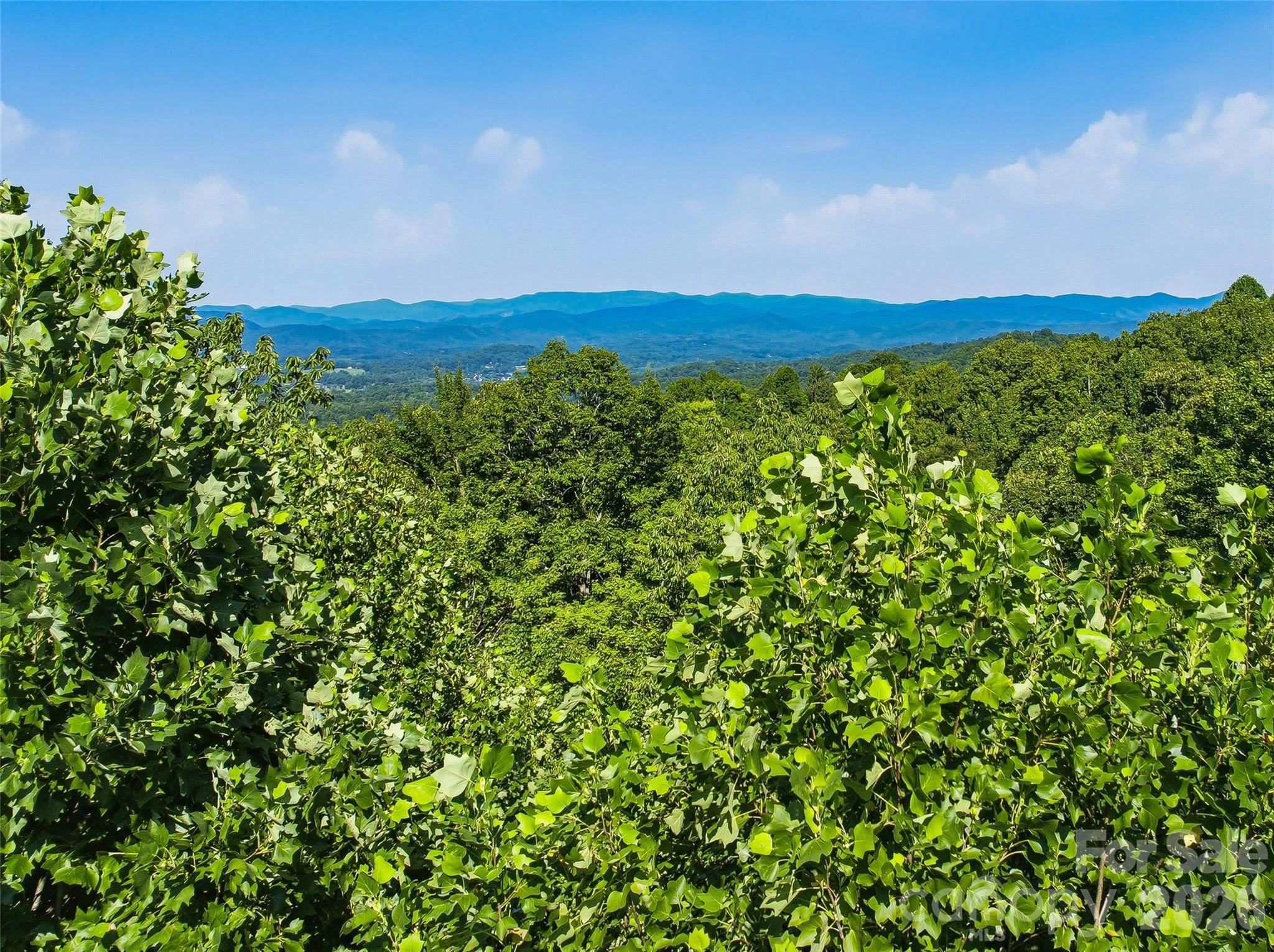 0000 Red Bud Lane Unit 3-F, Laurel Park, NC, 28739