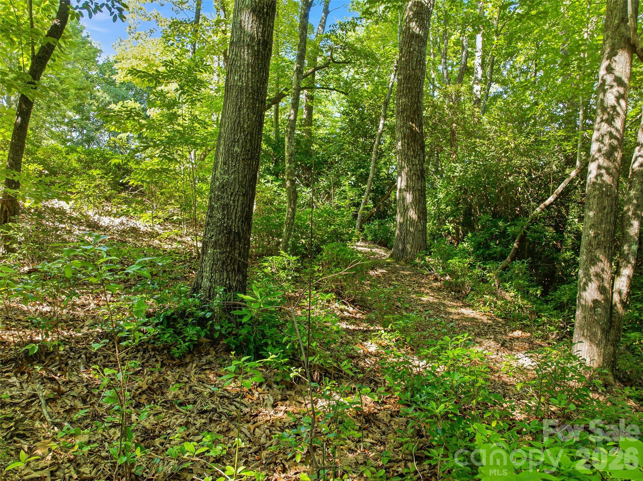 0000 Red Bud Lane 3-F