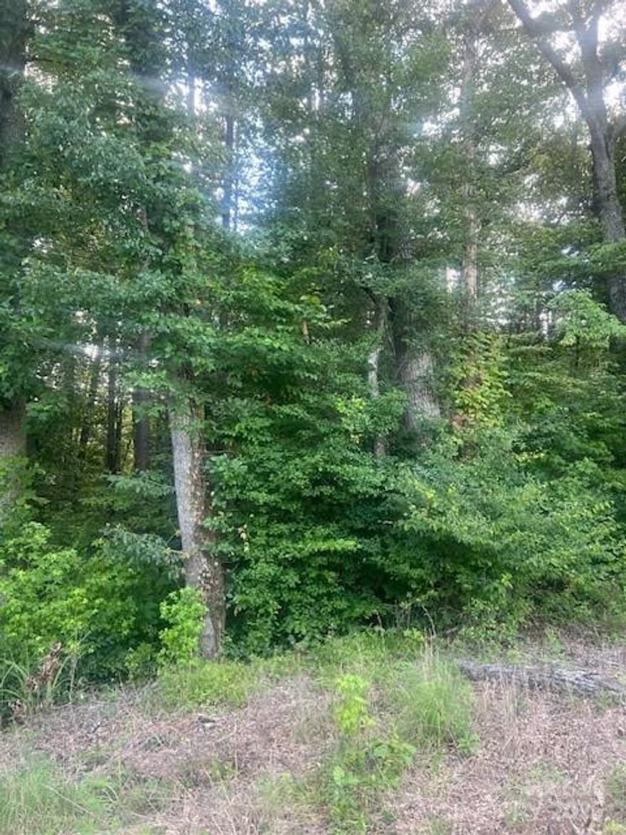 This property is a natural setting, offering a blend of elevation and water features. Hardwoods and evergreens blanket the gently sloping terrain creating a lush canopy, providing privacy and tranquil atmosphere year-round. A meandering stream traces along a side boundary and curves gracefully towards the rear, adding both charm and utility that's perfect for wildlife watching, peaceful reflection, or landscaping potential. The slope offers excellent drainage and opens up possibilities for tiered gardens, walkout basements or elevated structures. This property invites creativity and connection with the outdoors. 

According to Lincoln County Utilities, the property has access to Lincoln County water but not sewer. 

The Deed Book 3447 Pages 942-944 acreage is 7.09 acres and runs to the center of Hwy 73. The Lincoln County calculated acreage is 6.44 acres and doesn't include the acreage in the right of way.  The last survey was surveyed and platted by Hoke S. Heavner, County Surveyor, July 31, 1965.