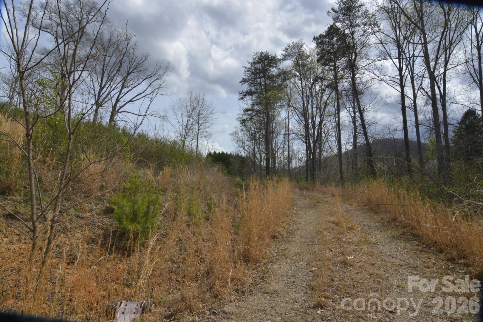 535 Old Newfound Road