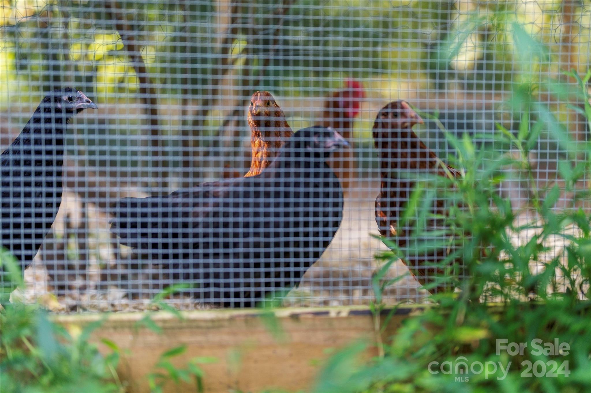 Holly Hills - Residential