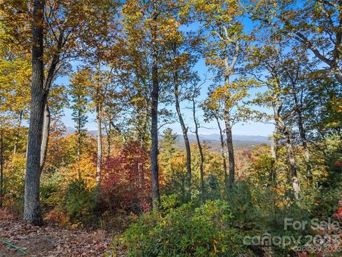 64 Giffords Lane 11 Asheville NC 28803