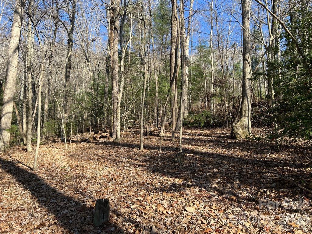 64 Giffords Lane 11