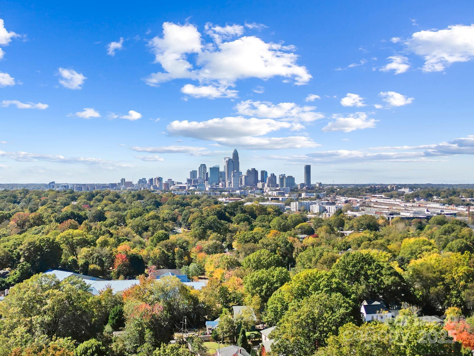 The Arts District - Residential Lease