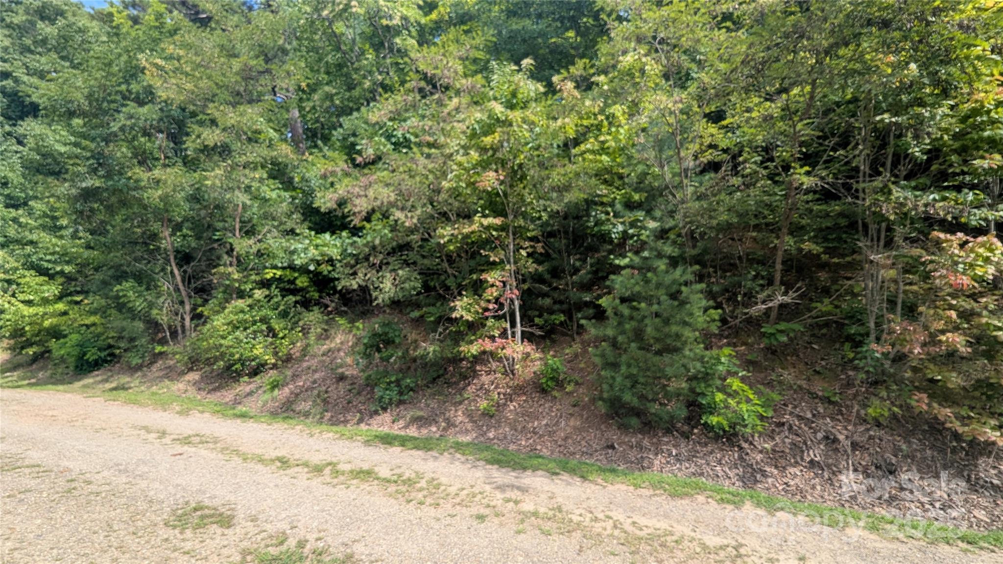 00 Pinewood Drive