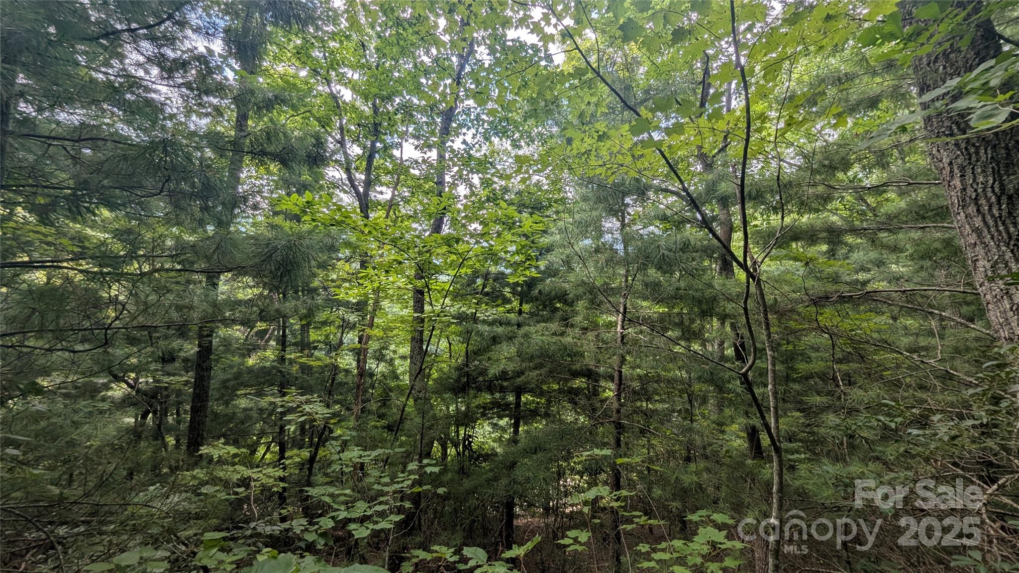 Pine Wood Heights - Land