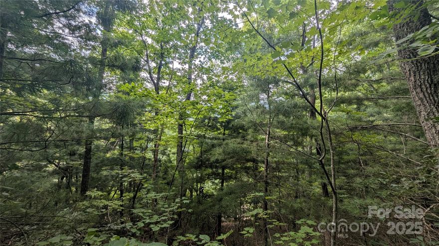 Build your dream home just minutes from downtown Waynesville on this 0.363 acre lot with winter views! Enjoy the convenience of easy access while being only a short drive to shopping, dining, and all the charm Waynesville has to offer. This lot has city water available and a potential homesite that should make construction simple and cost-effective, offering an ideal opportunity for a primary residence, second home, or investment property. Rarely do lots with this combination of location, utilities, and accessibility come on the market this close to town.