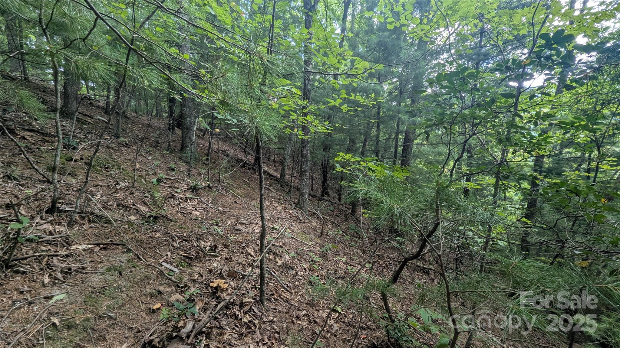 Pine Wood Heights - Land