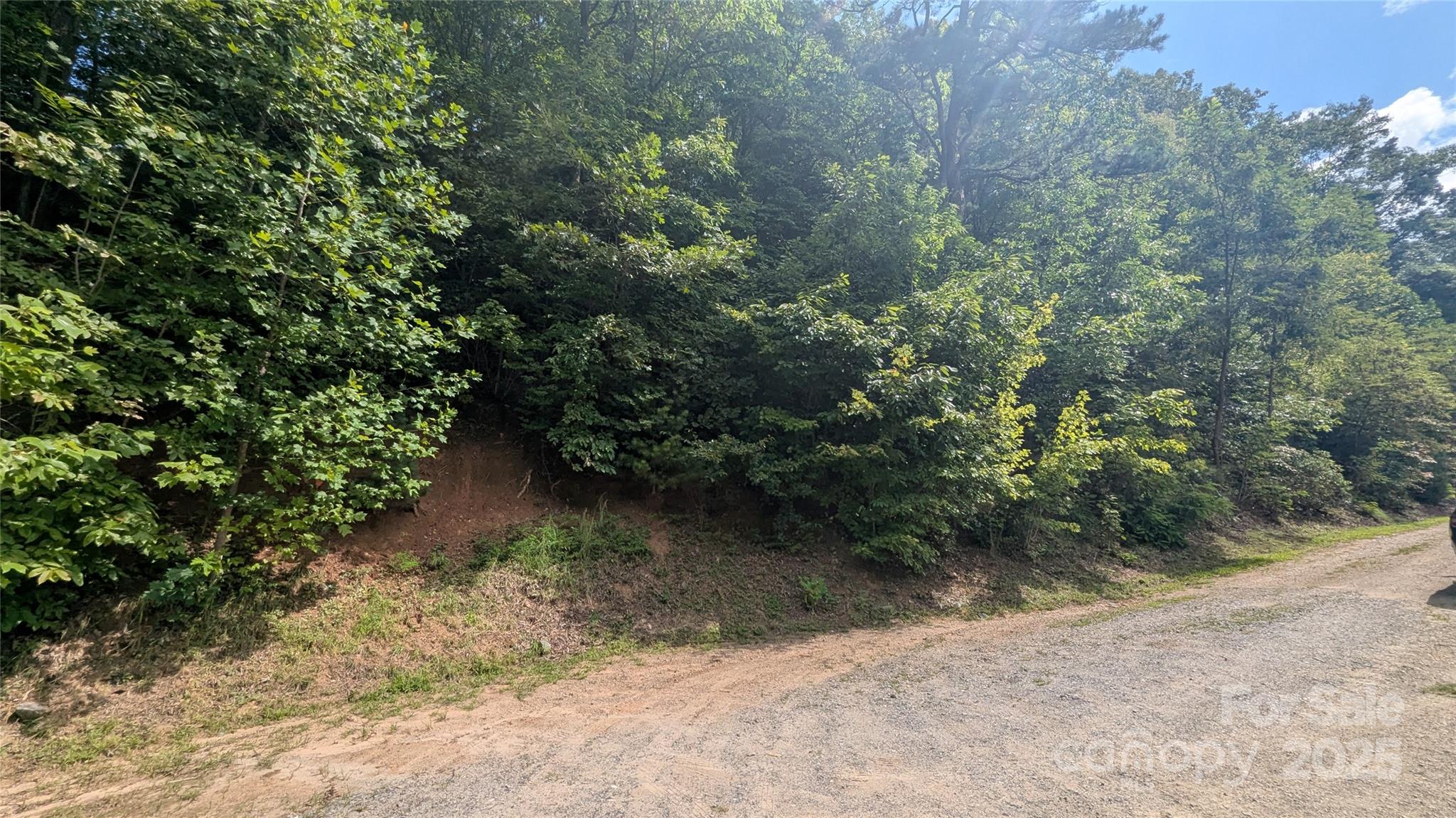 Pine Wood Heights - Land