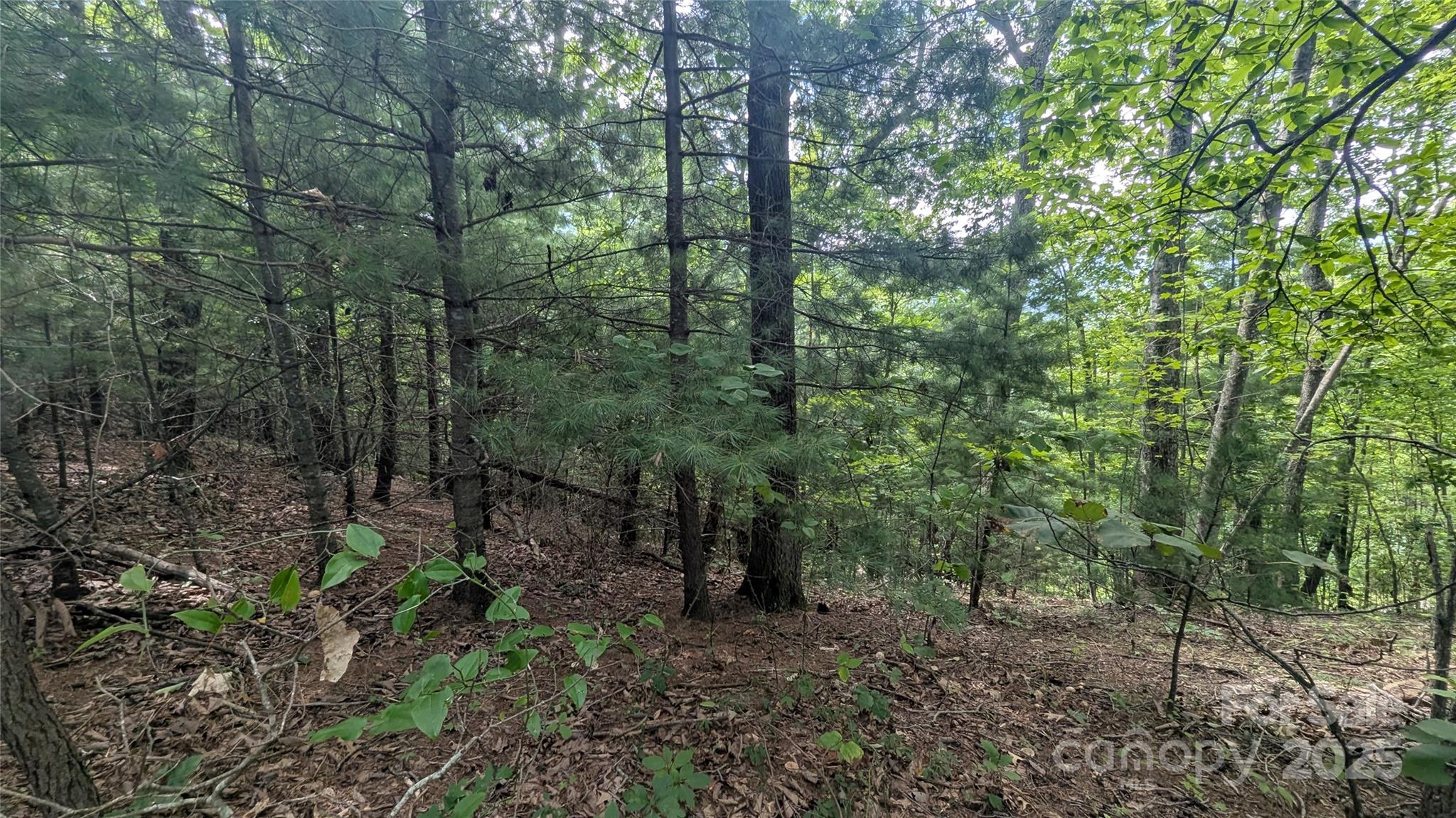 Pine Wood Heights - Land