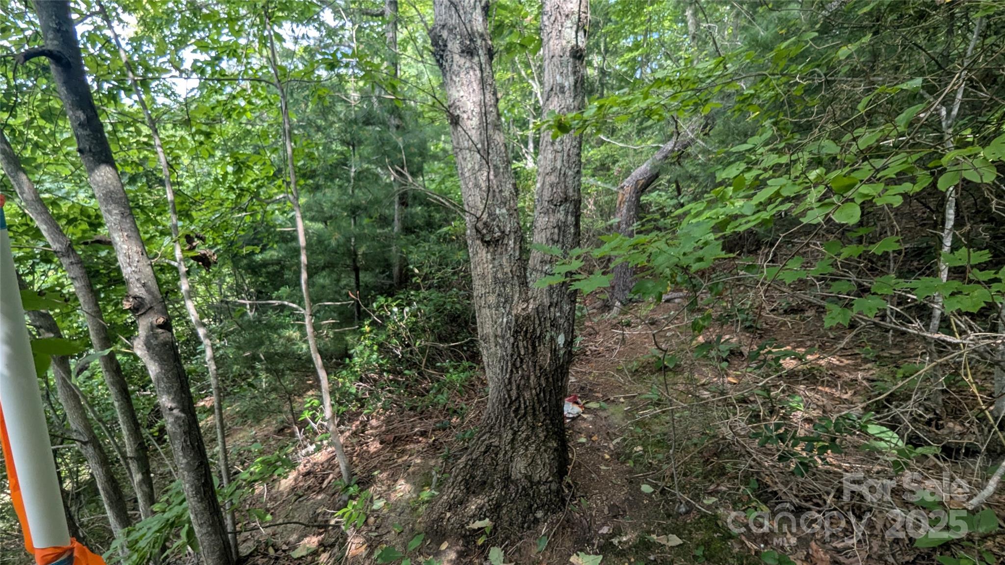 Pine Wood Heights - Land