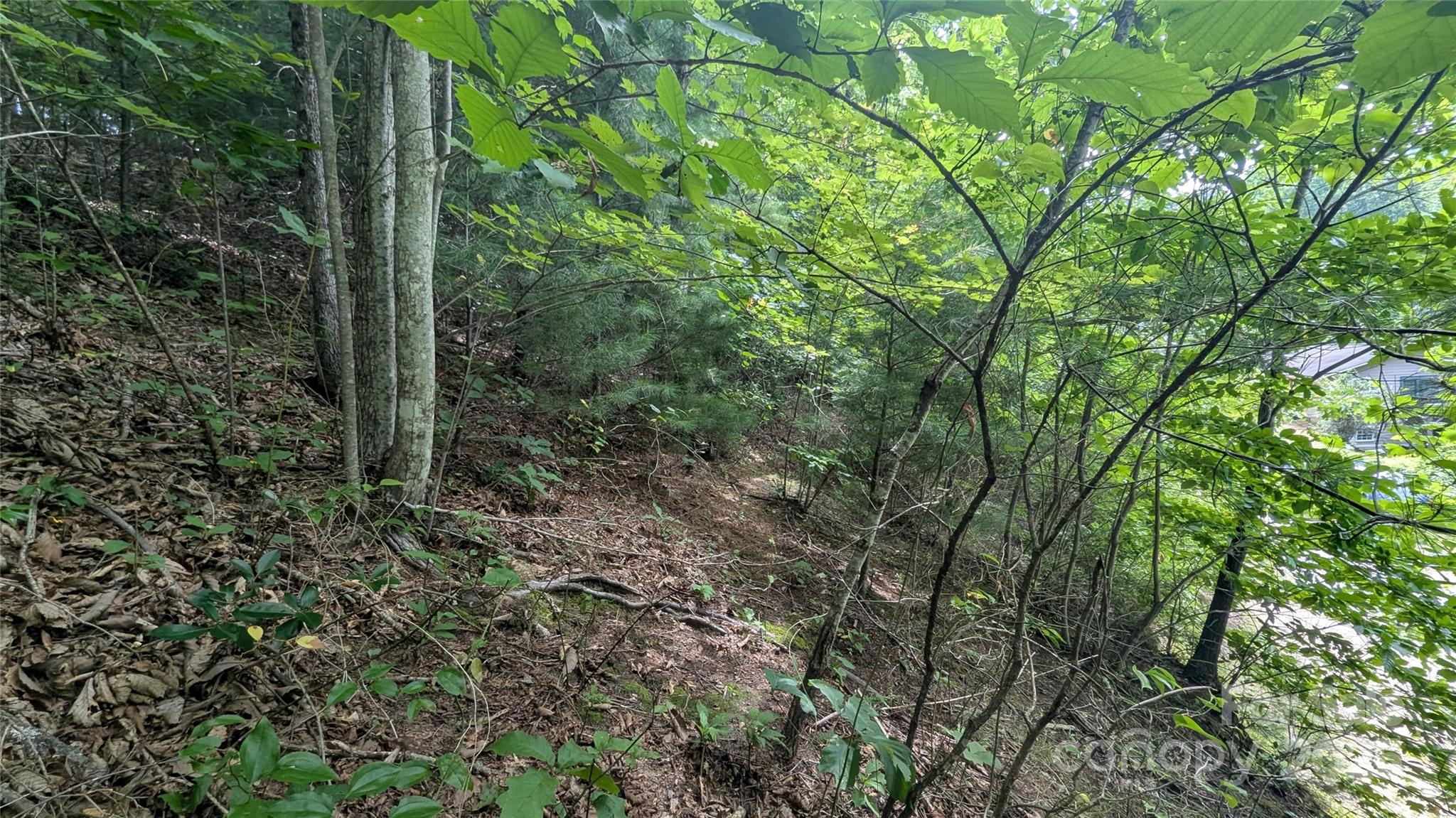 Pine Wood Heights - Land