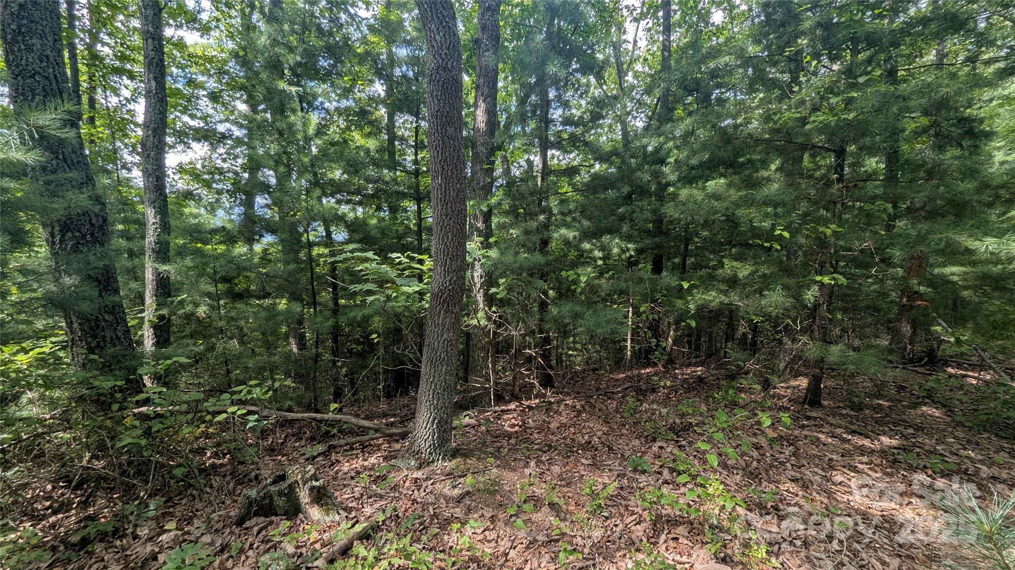 Pine Wood Heights - Land