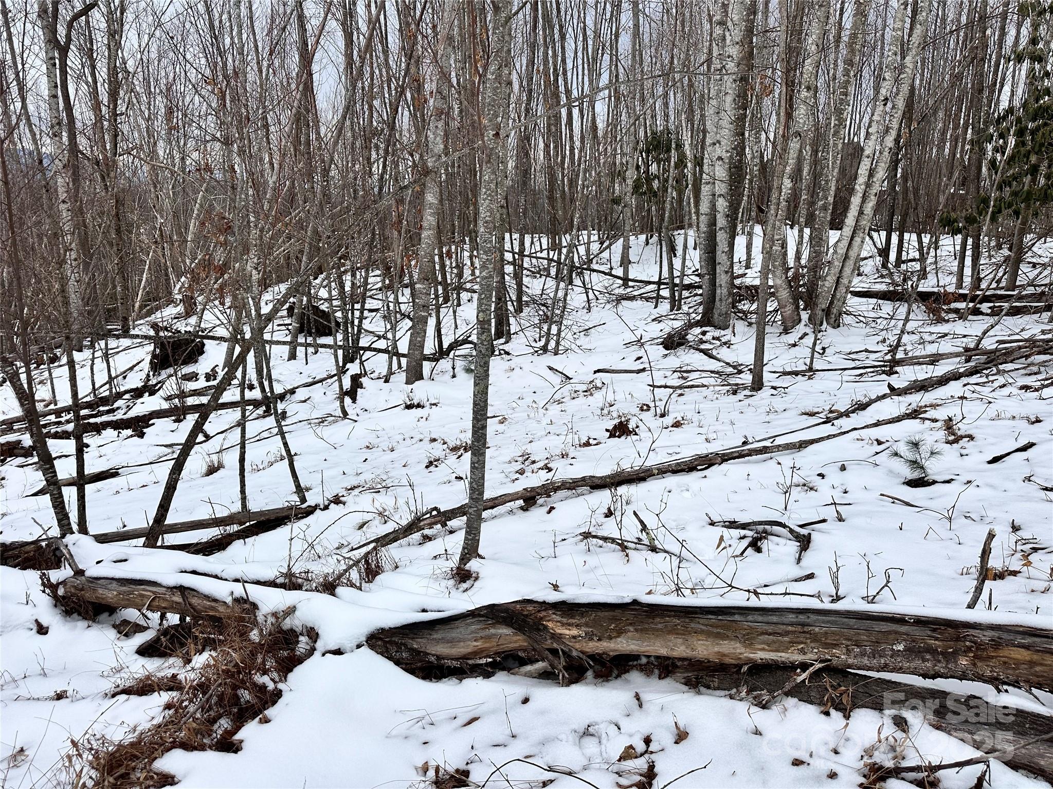 0000 Lot 78 Black Bear Crossing